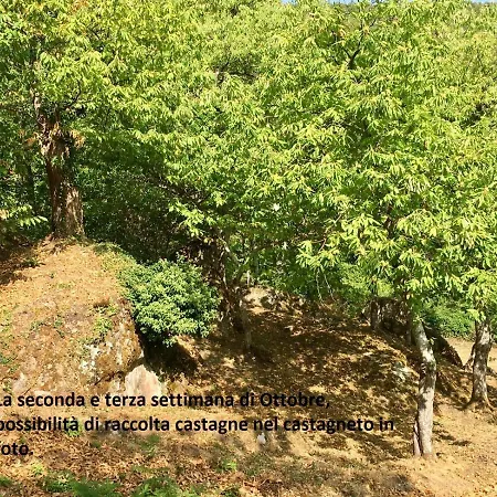 Bed & Breakfast Famiglia Caminati Alfero