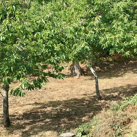 Famiglia Caminati Bed & Breakfast Alfero